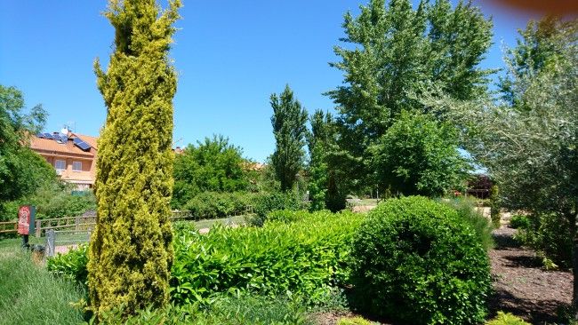 Foto paisaje Sony Xperia X