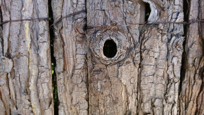 Foto de detalle son el Sony Xperia X