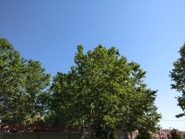 Foto en automático con el OnePlus 3