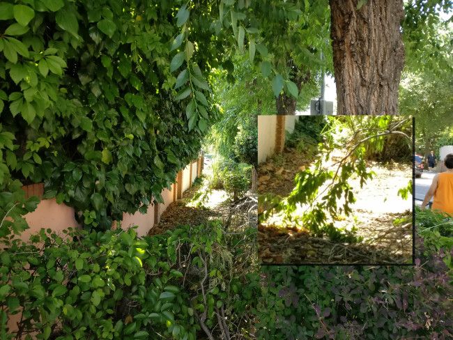 Calidad zoom del OnePlus 3