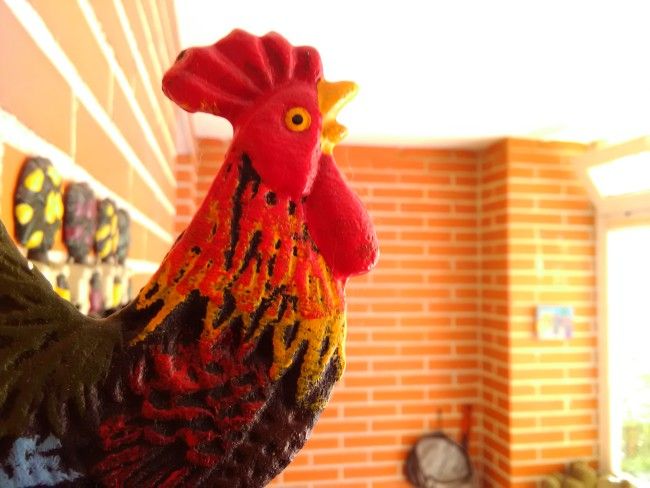 Foto macro con el Alcatel POP 4 Plus
