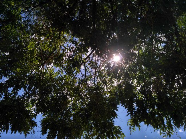 Foto a contraluz con el Xiaomi 3S