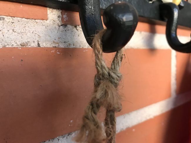 Foto de detalle en rimer plano con el iPhone 7 Plus