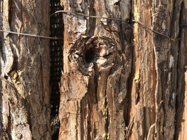 Foto de detalle general con el iPhone 7 Plus