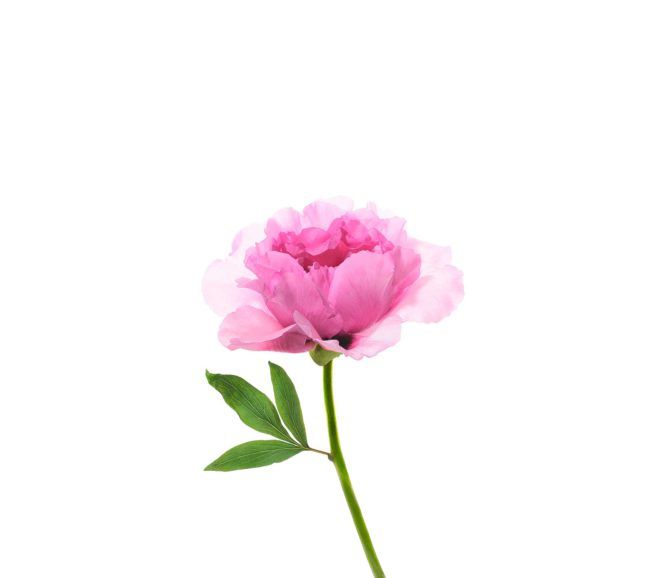 Xiaomi Mi Mix fondos de pantalla