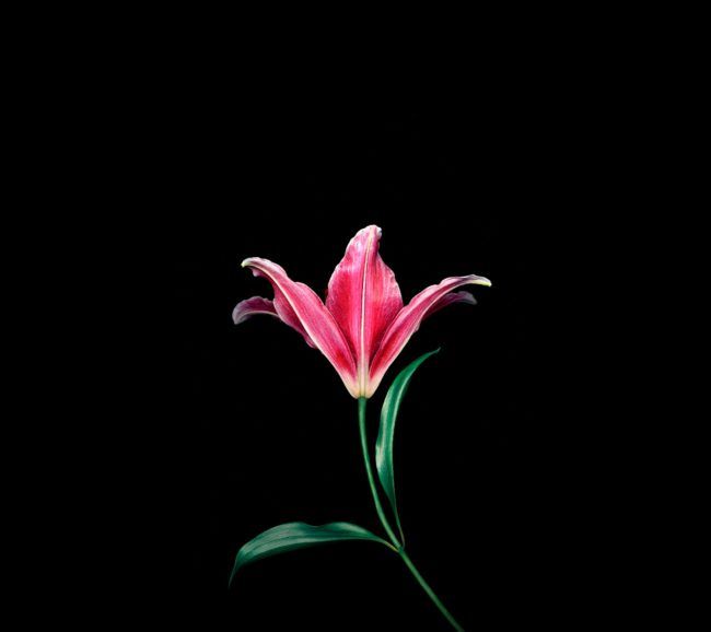 Xiaomi Mi Mix fondos de pantalla