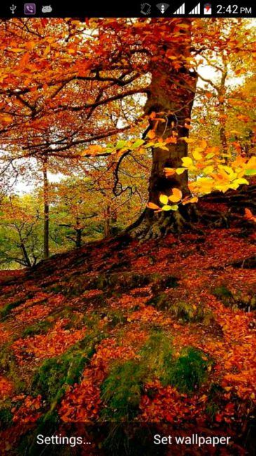 fondos de pantalla otoño 2