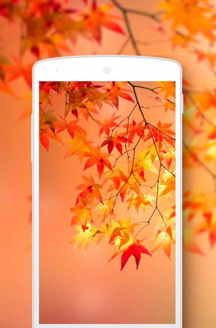 fondos de pantalla