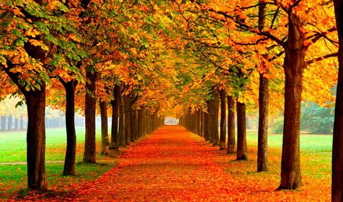 fondos de pantalla otoño