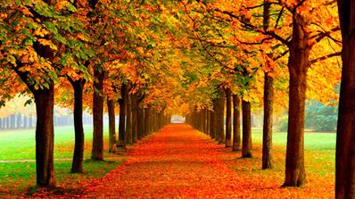 fondos de pantalla otoño