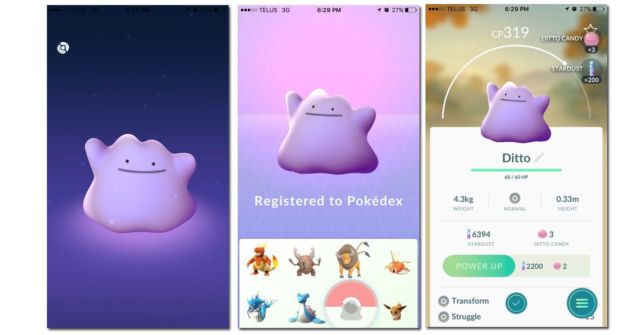 pantallas pokémon GO Ditto