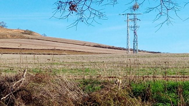 Foto de paisaje con el ASUS Zenfone 3 Max