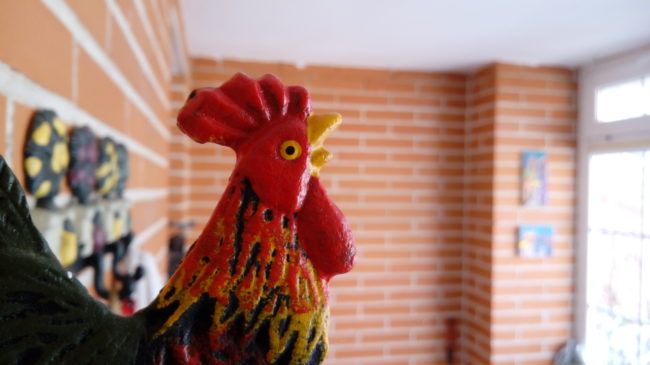 Foto macro con el LG X Power