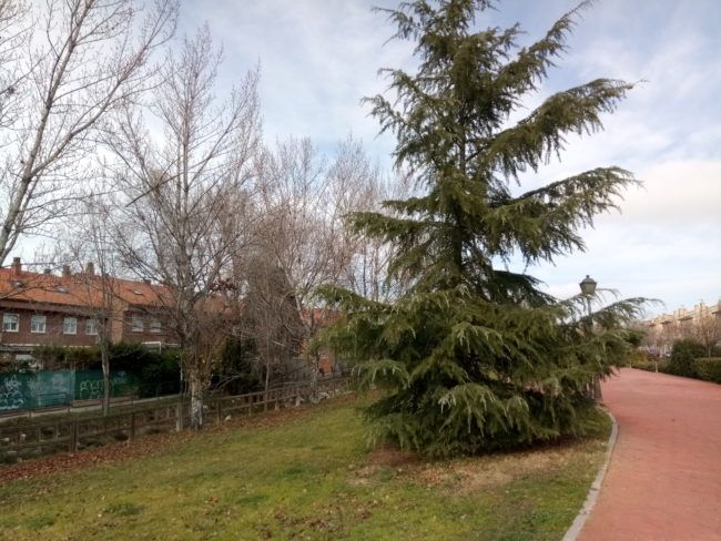 Foto paisaje Weimei WePlus 2