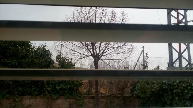 Foto en contraluz con el Moto E3