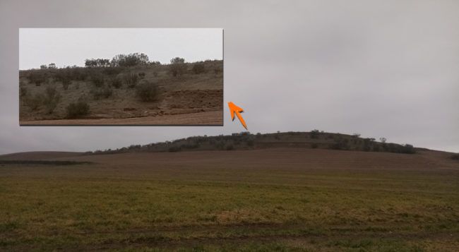 Zoom del Weimei WePlus 2