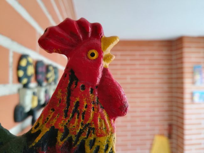 Foto macro con el Huawei P8 Lite 2017