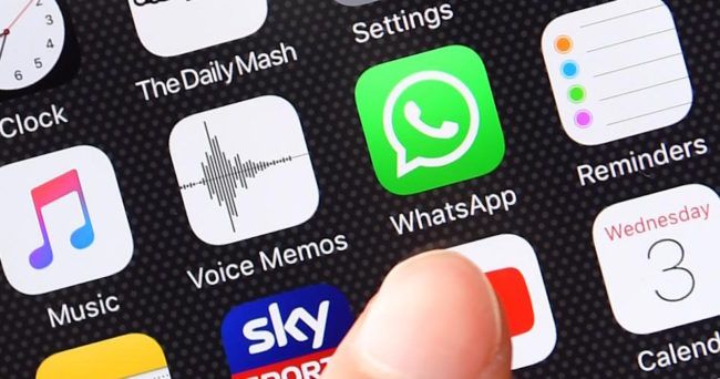 icono whatsapp