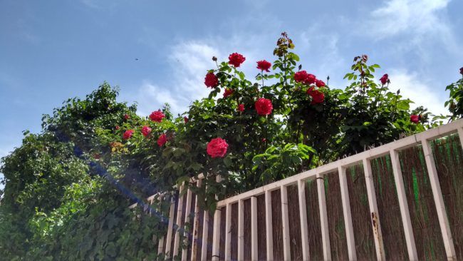 Foto con luz intensa del Moto G5