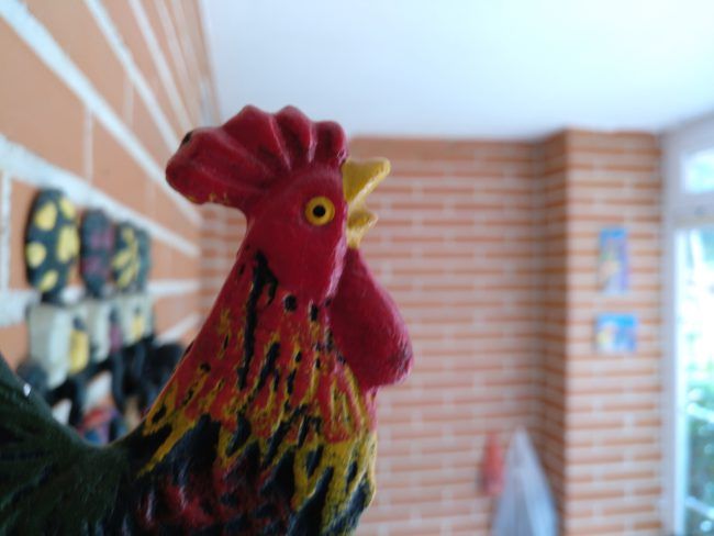 Foto macro con el BQ Aquaris X