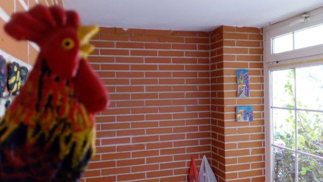 Foto a infinito con el Alcatel A5 LED