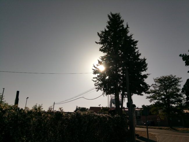 Foto en contraluz con el Energy Phone Pro 3