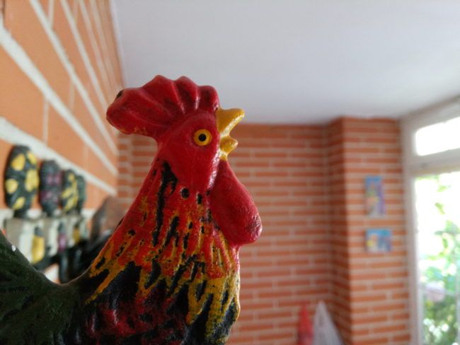 Foto macro con el Energy Phone Pro 3