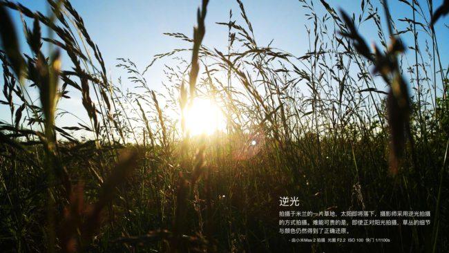Foto tomada con la cámara del Xiaomi Mi Max 2