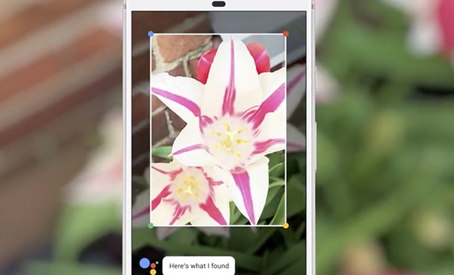 google lens