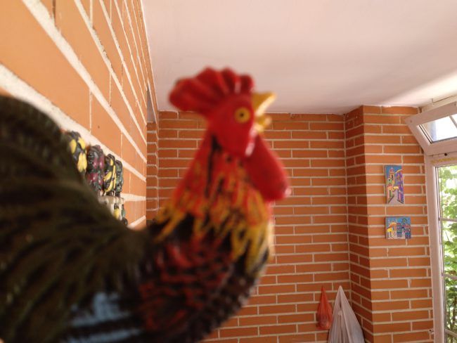 Foto a infinito BQ Aquaris X