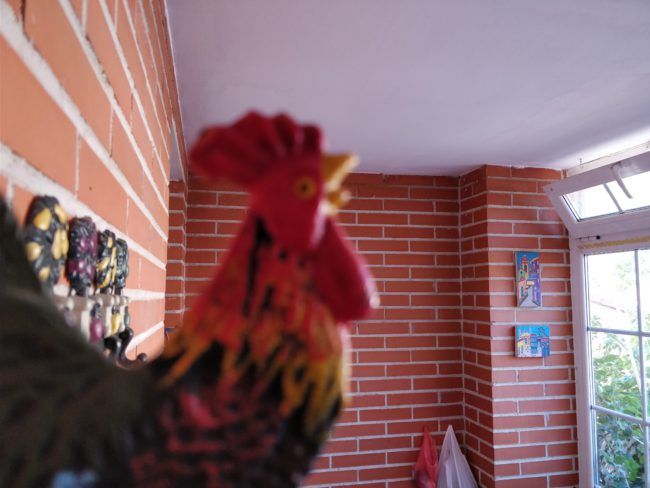 Enfoque a infinito con el OnePlus 5