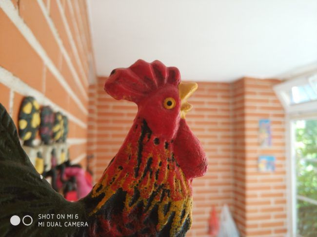 Foto macro con el Xiaomi Mi 6