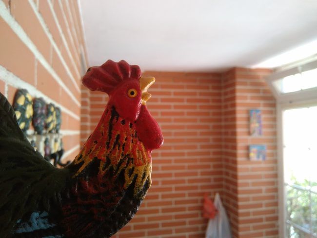 Foto cerca AGM A8 SE
