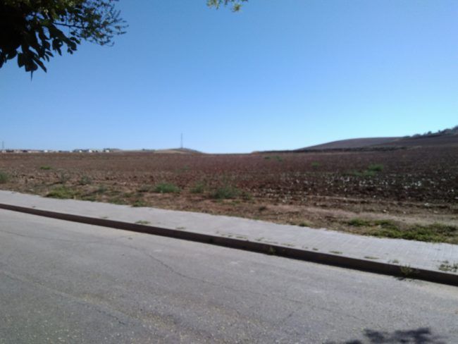 Foto de paisaje del AGM A8 SE