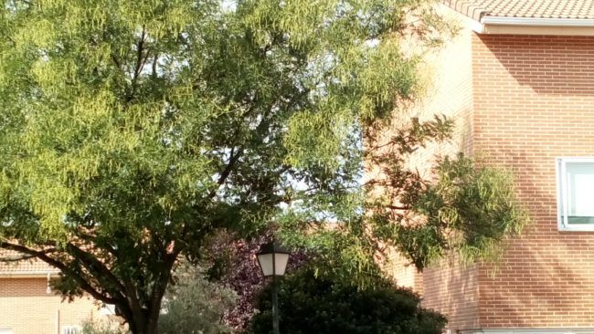 Foto zoom con el Sony Xperia L1