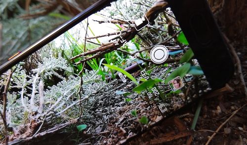 camara p10 intrfaz
