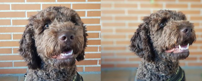 Uso de desenfoque con el Samsung Galaxy Note 8