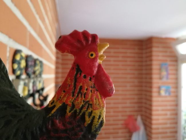 Foto macro con el Honor 9