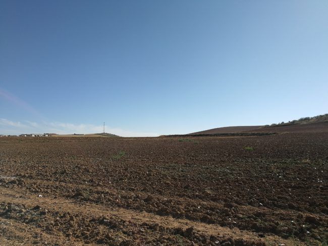 Foto paisaje con el Honor 9