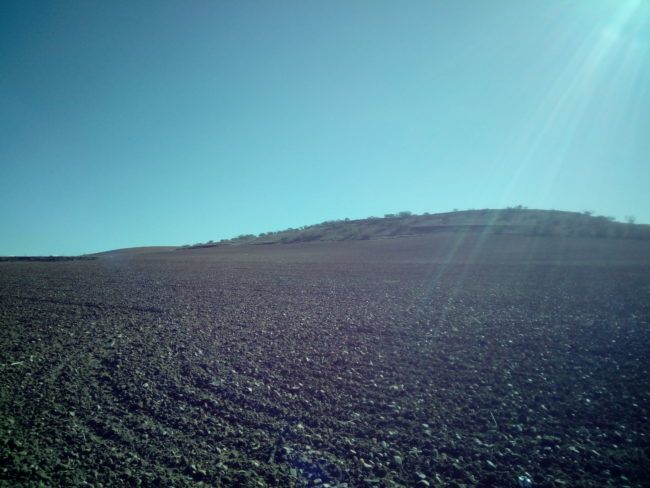 Foto de paisaje con el Vodafone Smart N8