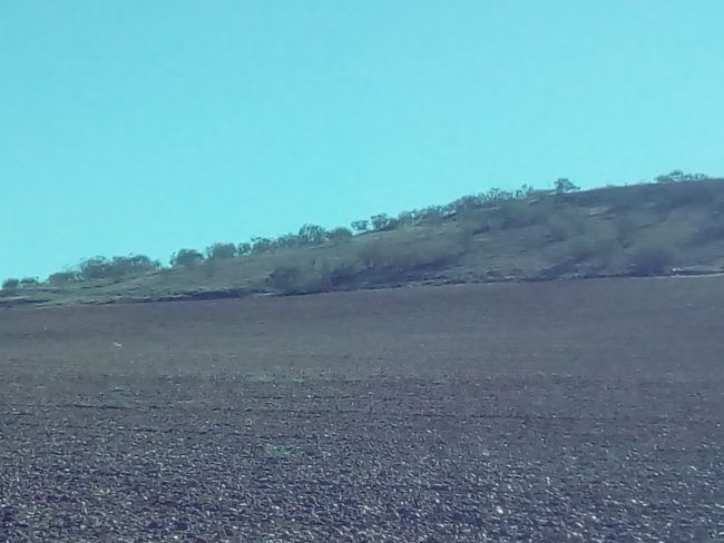 Foto zoom con el Vodafone Smart N8