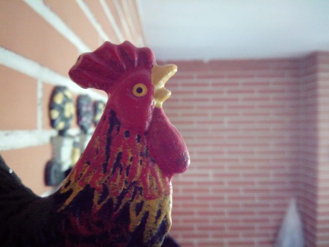 Foto macro con el Vodafone Smart N8