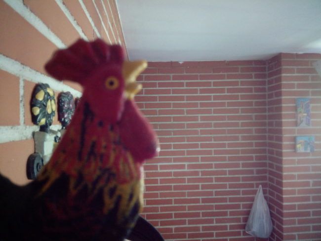 Foto a infinito con el Vodafone Smart N8