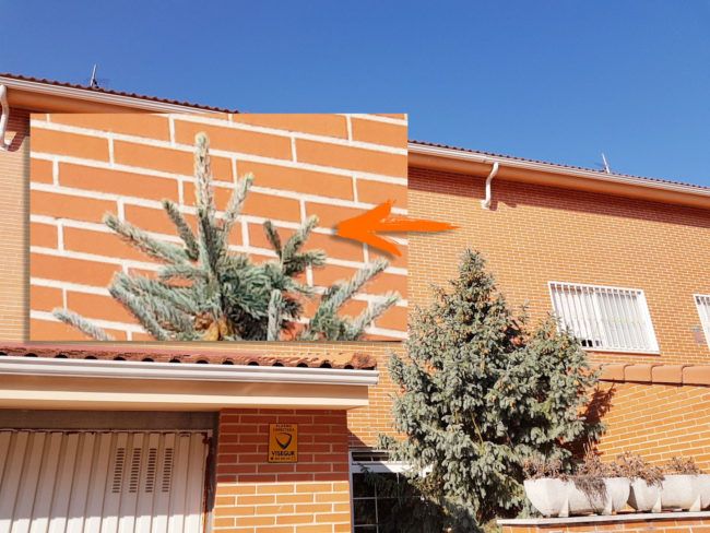 Zoom con el Samsung Galaxy Note 8