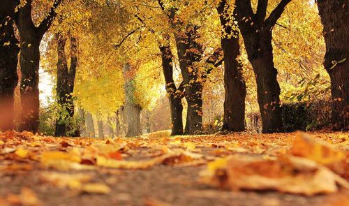 equinoccio de otoño