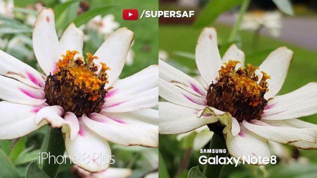 Samsung Galaxy Note 8 vs iPhone 8