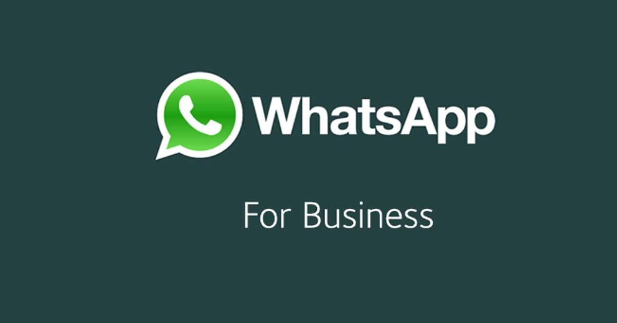 Toma de contacto con WhatsApp Business