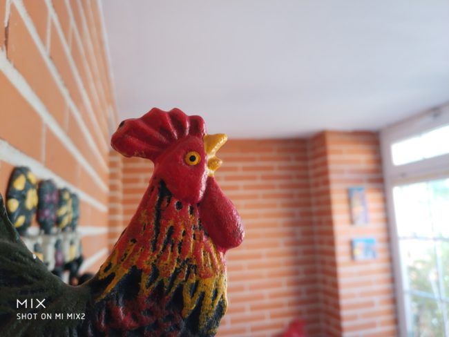 Foto macro con el Xiaomi Mi Mix 2