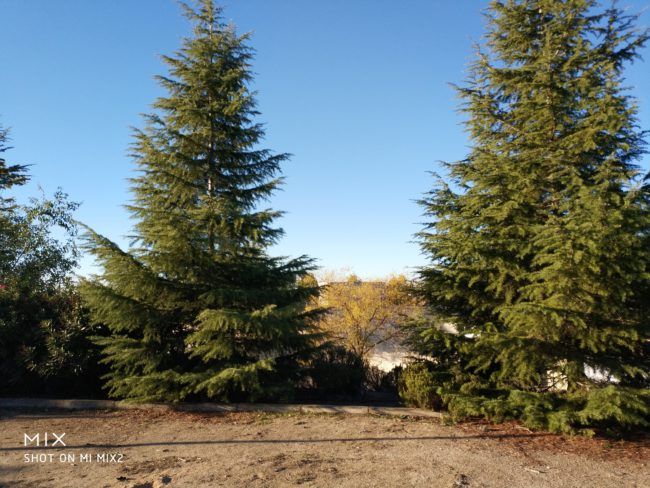 Foto de paisaje Xiaomi Mi Mix 2