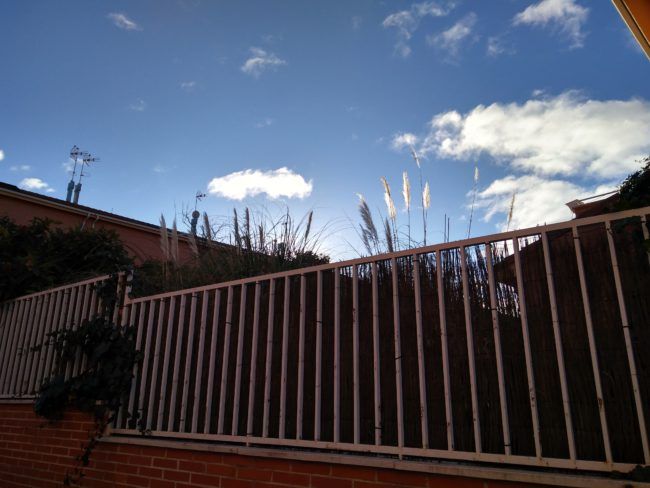 Foto a contraluz con el Motorla Moto G5S Plus